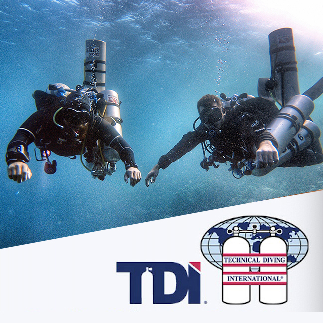 Instructor Courses