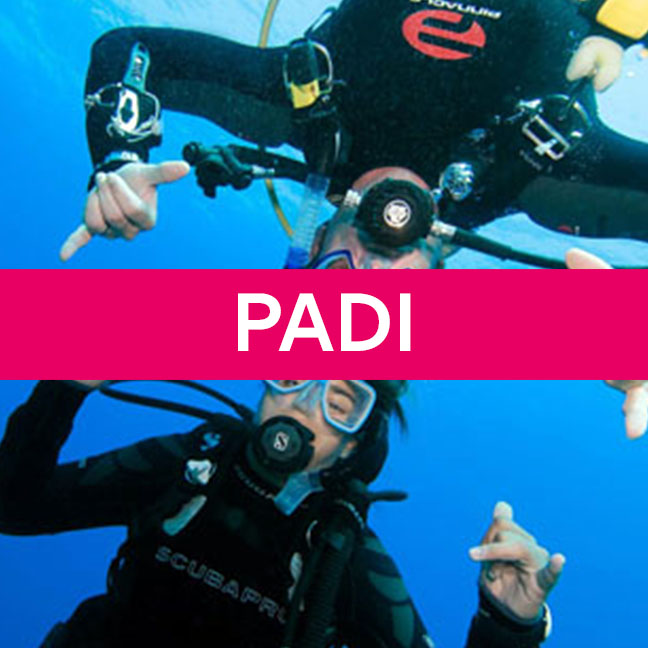PADI Divemaster