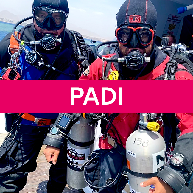 PADI Dry Suit Specialty