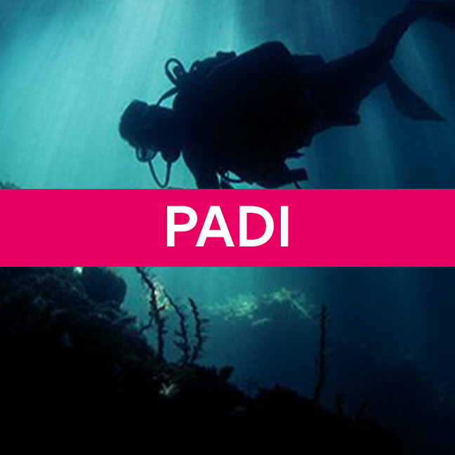 PADI Night Diver Specialty