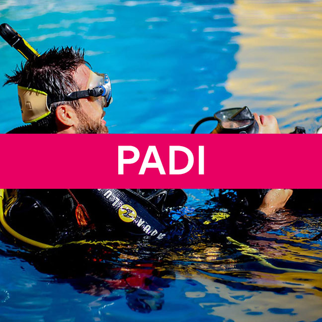 PADI Rescue Diver