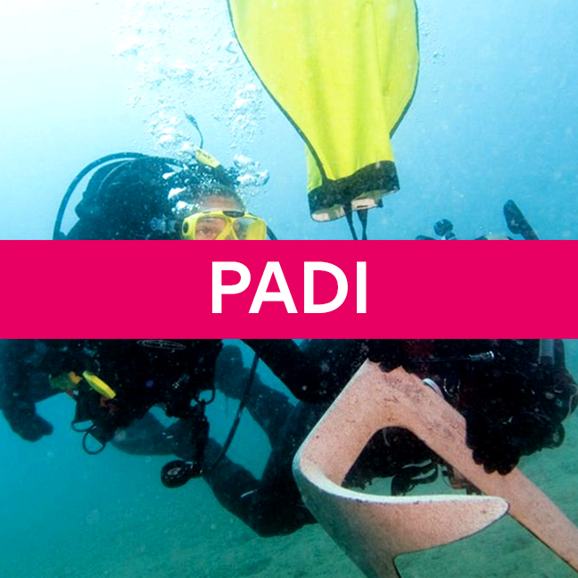 PADI Search and Recovery