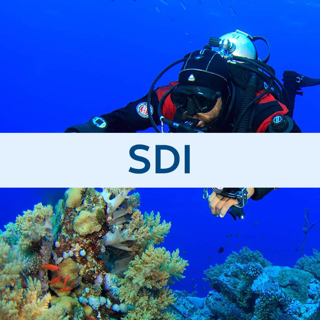 SDI Peak Performance Buoyancy