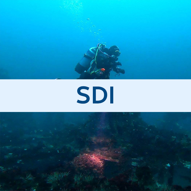 SDI Deep Diver Specialty