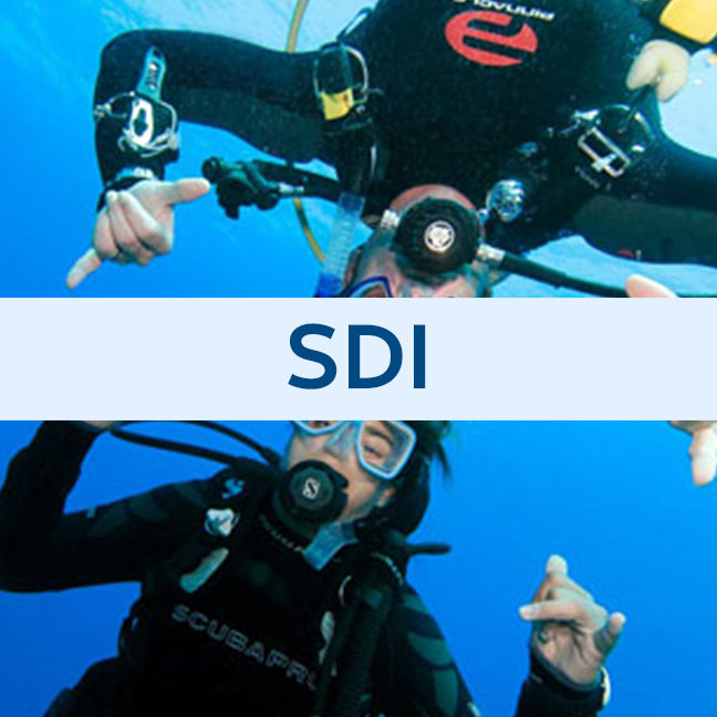 SDI Divemaster