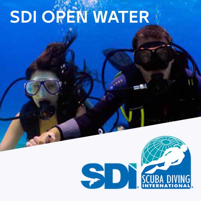 SDI Open Water Diver