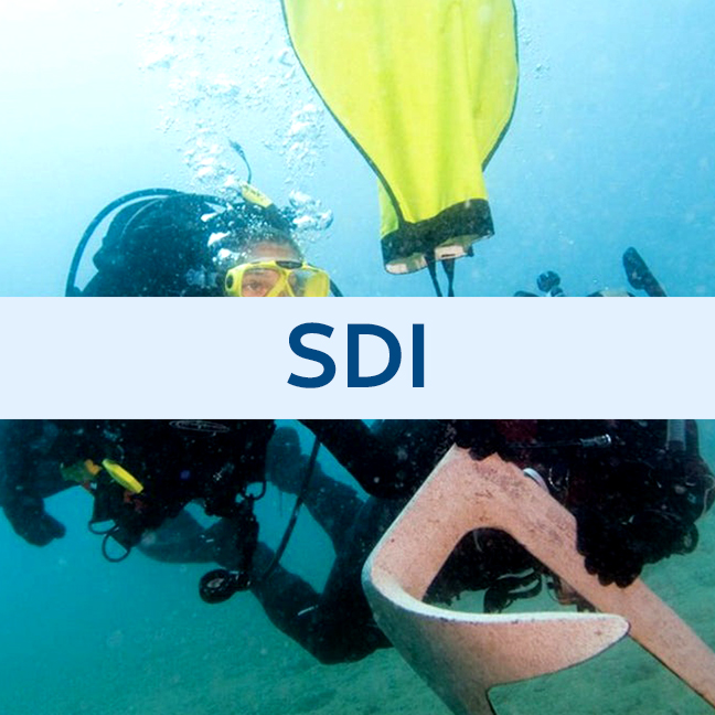 SDI Search and Recovery