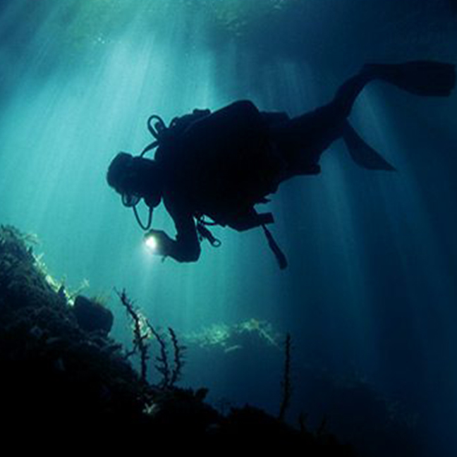 Night Diver Specialty